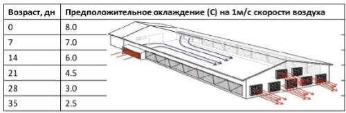 Таблица 5