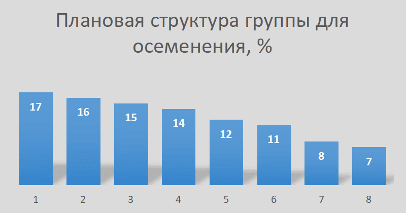 Ремонтные свинки при обновлении маточного поголовья